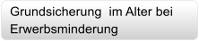 Grundsicherung  im Alter bei  Erwerbsminderung