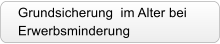 Grundsicherung  im Alter bei  Erwerbsminderung